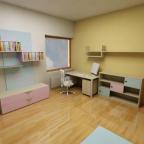 Rekonstrukce, 2004-2006 